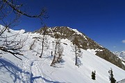 Invernale sul Pizzo di Petto da Colere-Malga Polzone il 19 marzo 2015 - FOTOGALLERY